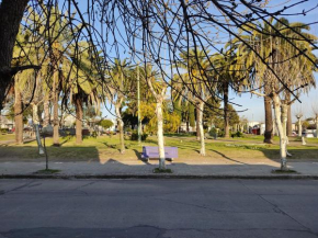 Suculento Apart
